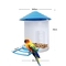 Wifi H.264 Bird Watching Camera Pir Alarm Push Mobile Phone App Response In Time